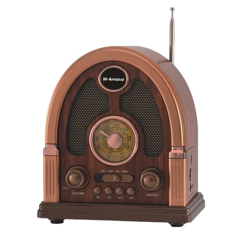 Portable AM FM SW Radio and Bluetooth Speaker with TF Card Player