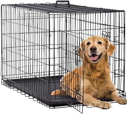 Vibrant Life Cage pour Chien 48” – Double Porte Pliable avec Séparateur