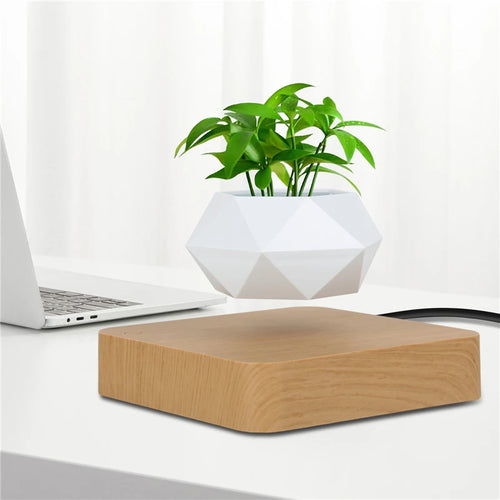 Magnetic Levitating Plant Pot — 360° Rotation