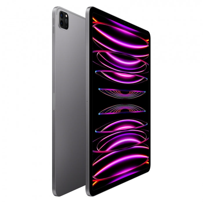 Apple iPad Pro 12,9 pouces (6ᵉ génération) Wi-Fi 128 Go Gris sidéral (Nouveau)